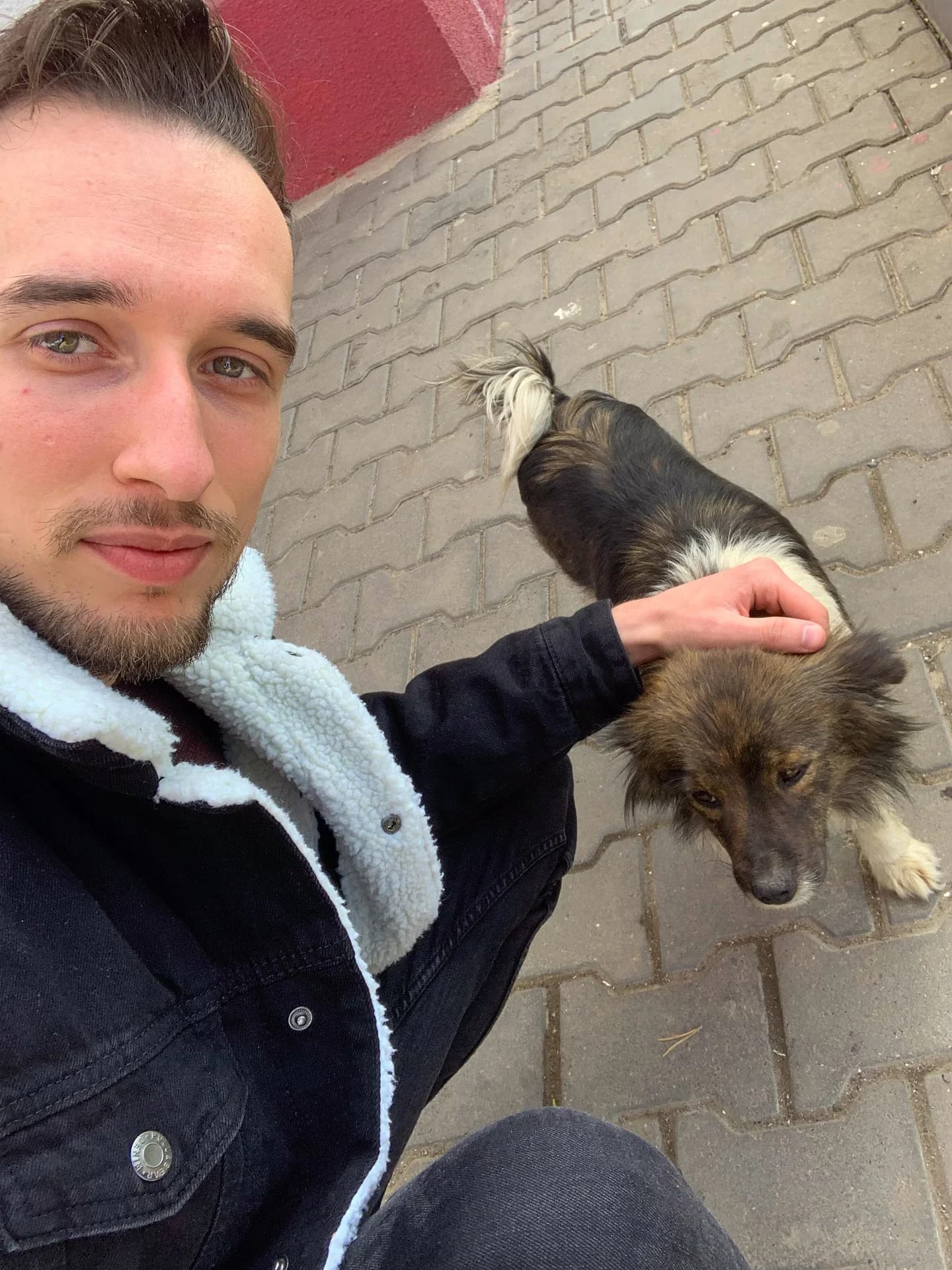 Cu un câine maidanez